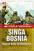 Click image for larger version

Name:	singa bosnia.jpg
Views:	121
Size:	82.0 KB
ID:	162184